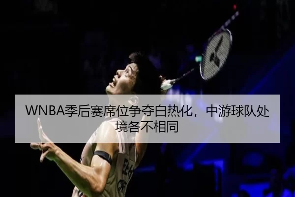 WNBA季后赛席位争夺白热化，中游球队处境各不相同